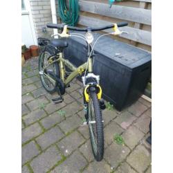 batavus snake 22inch