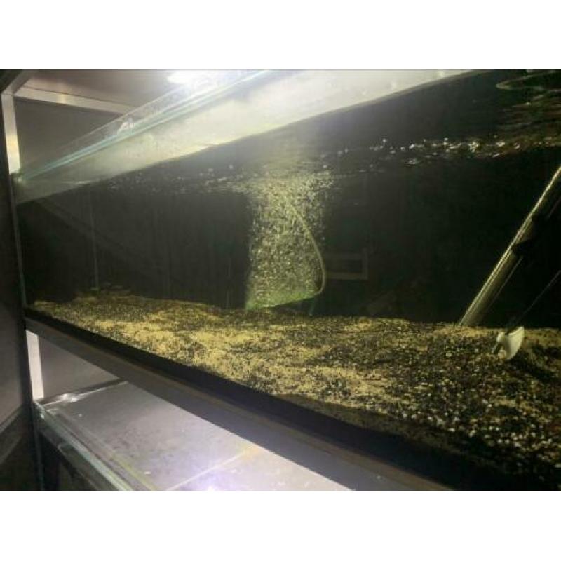 Op maat gemaakt aquarium voor l nummer 120x50x35