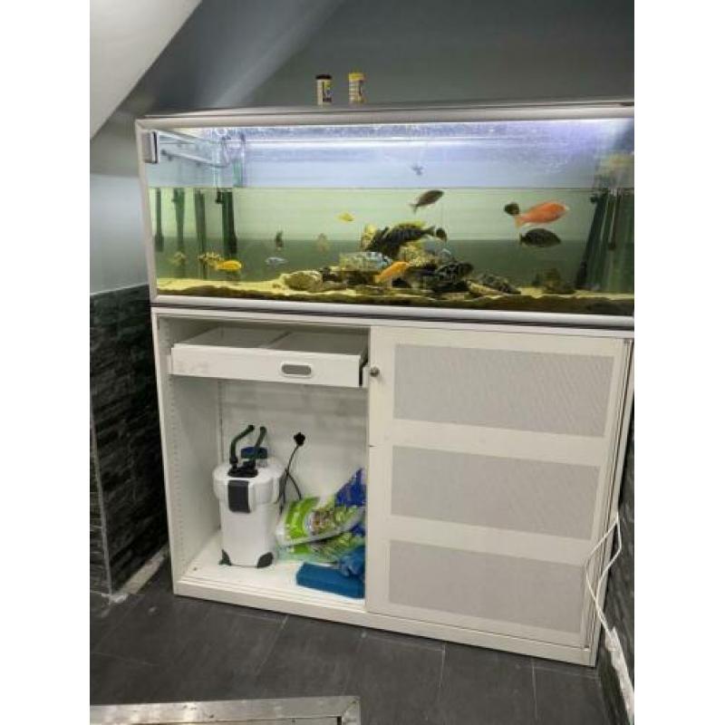 Vissen ? aquarium