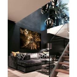 Exclusieve Art op groot formaat plexiglas of dibond va.189,-