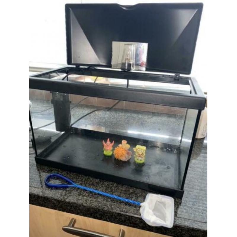 Aquarium 40x20x25 inclusief filter, lamp, netje en decoratie