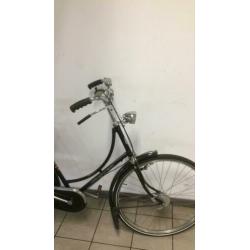 Gazelle populair 3v