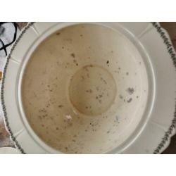 Antieke Mosa Plateel terrine