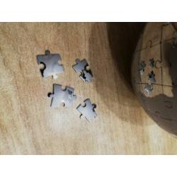 Magnetische puzzel-rvs wereldbol