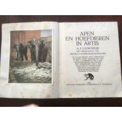 Apen en hoefdieren in Artis 1e druk 1940 Verkade Album