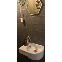 Fontein wastafel toilet