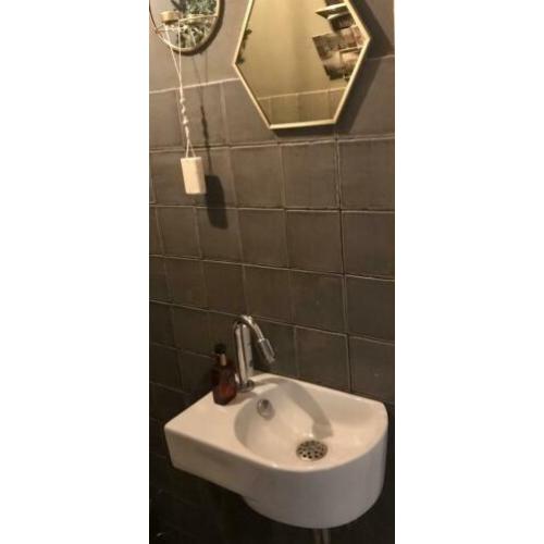 Fontein wastafel toilet
