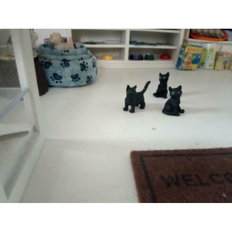 Dieren Winkeltje