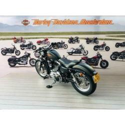 Harley-Davidson XL1200 V (bj 2014)