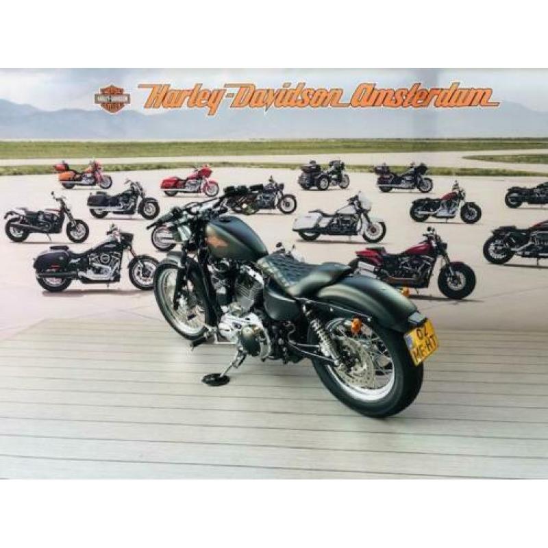 Harley-Davidson XL1200 V (bj 2014)
