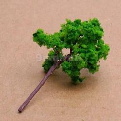 MBO - 5 loofbomen donker groen 6cm hoog (388)
