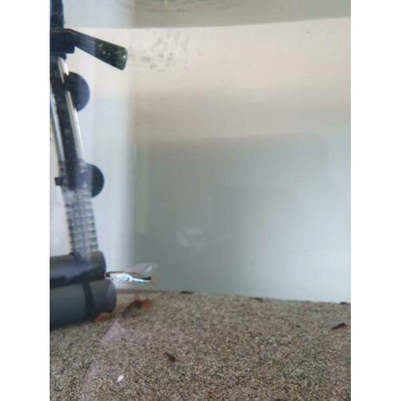 Marina aquarium 60x30x30