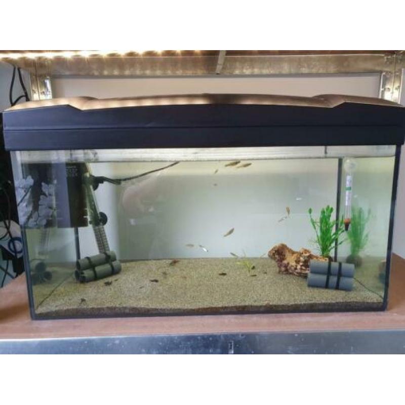 Marina aquarium 60x30x30