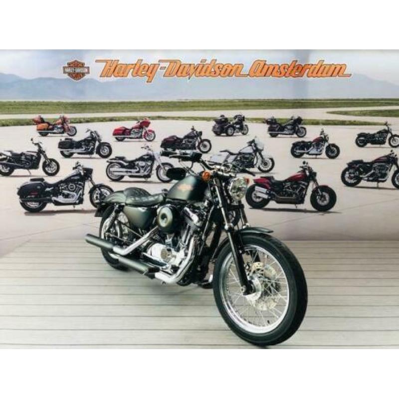 Harley-Davidson XL1200 V (bj 2014)