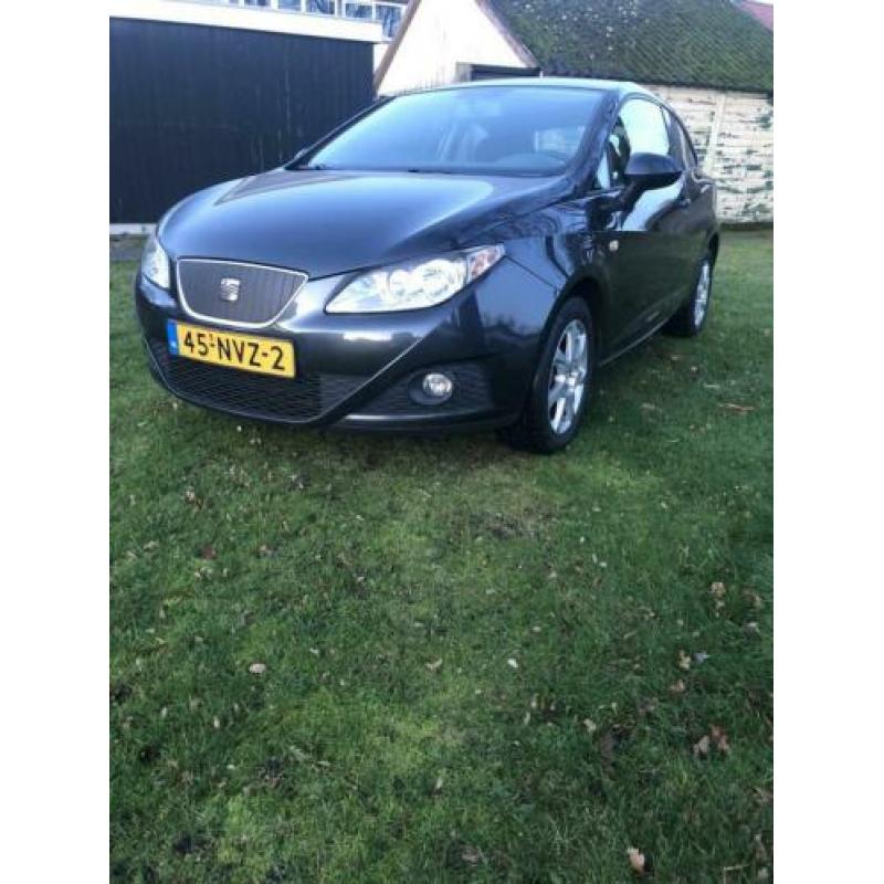 Seat Ibiza 1.2 TDI 55KW Ecomotive 2010 Grijs