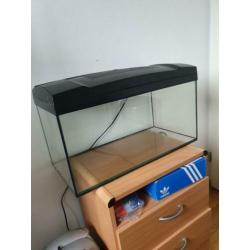 Marina aquarium 60x30x30