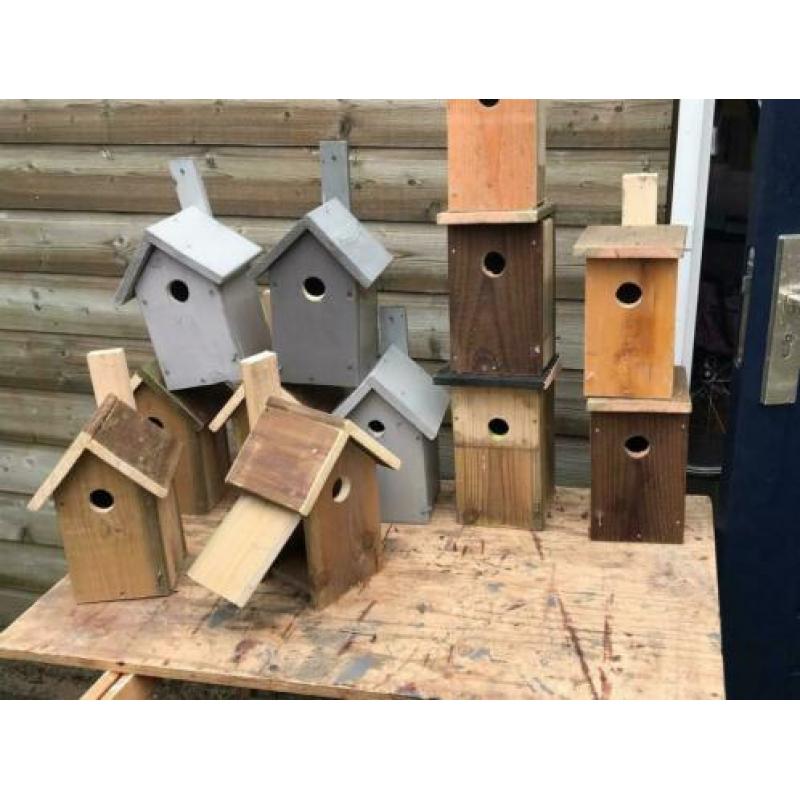 Vogelhuisjes mezenkast tegen processierups