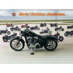 Harley-Davidson XL1200 V (bj 2014)
