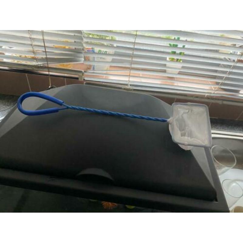 Aquarium 40x20x25 inclusief filter, lamp, netje en decoratie