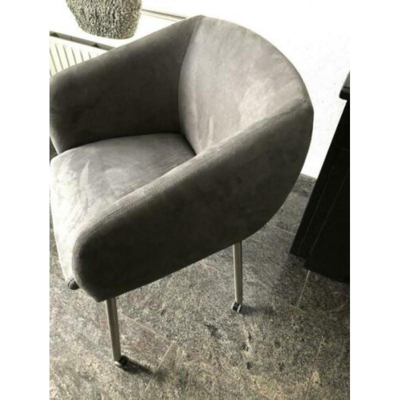 Super leuke kuipstoelen een eyecather aan u eettafel