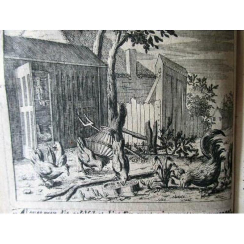 Jacob Cats: Huuwelijck, 1740