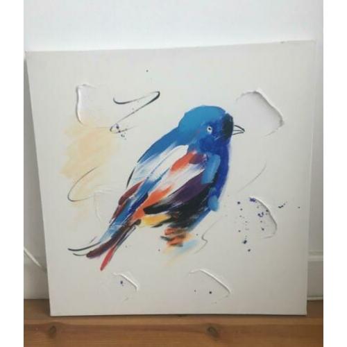 Schilderij kleurijke vogel (50x50x3)