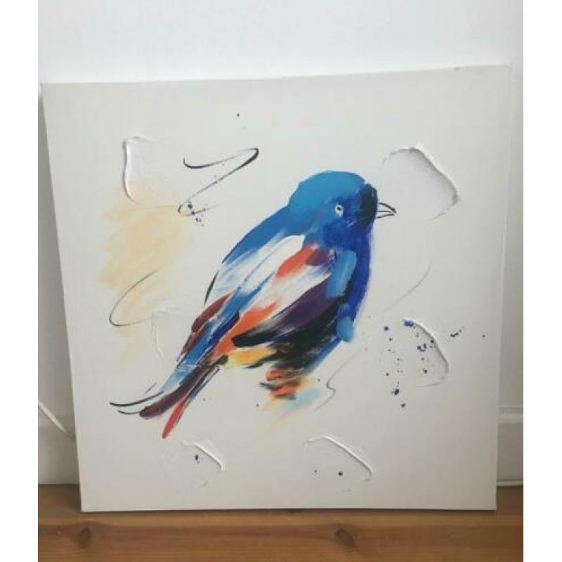 Schilderij kleurijke vogel (50x50x3)
