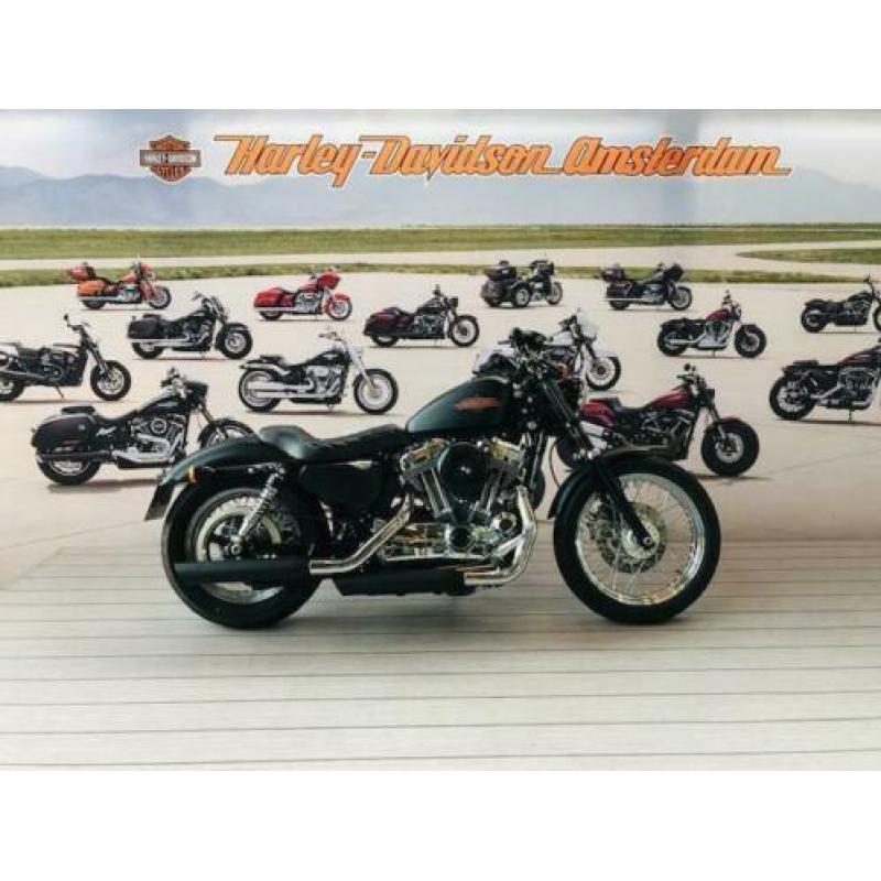 Harley-Davidson XL1200 V (bj 2014)
