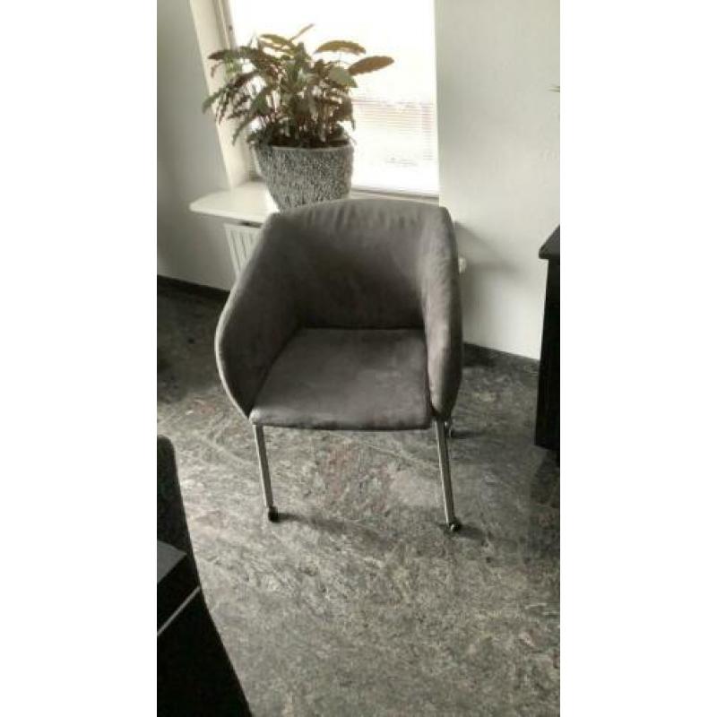 Super leuke kuipstoelen een eyecather aan u eettafel