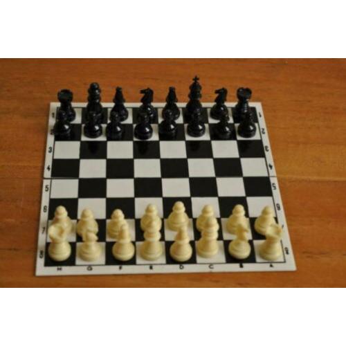 ?Vintage Magnetisch Schaakspel Damspel Domino Reisspel