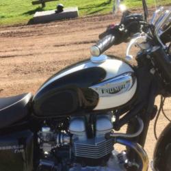te koop Bonneville T100