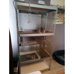 Aquarium stelling