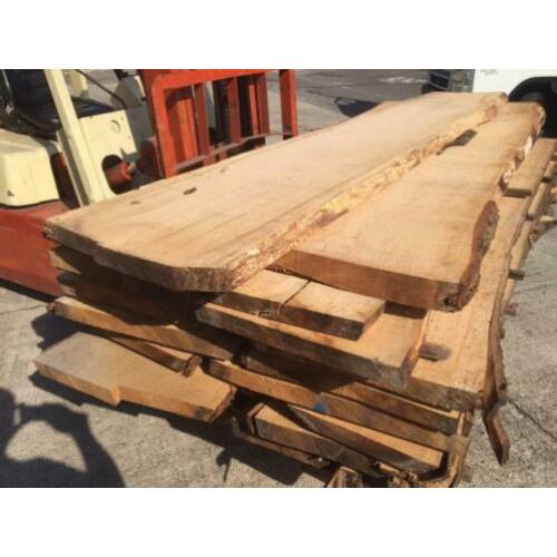 Eiken Schaaldelen 5 cm (gedroogd)