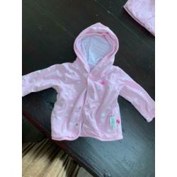 B.nosy, Z8, Babyface, Quapi, Feetje, Babygymp, Bakkaboe, Nam