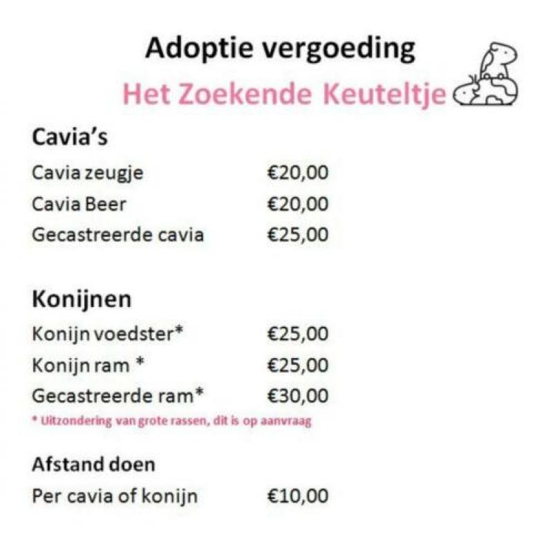 Jacobje - In opvang