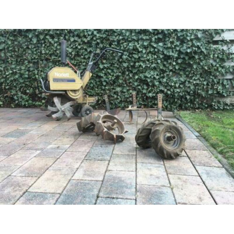 Tuinfrees met toebehoren