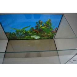 Leeg aquarium en toebehoren