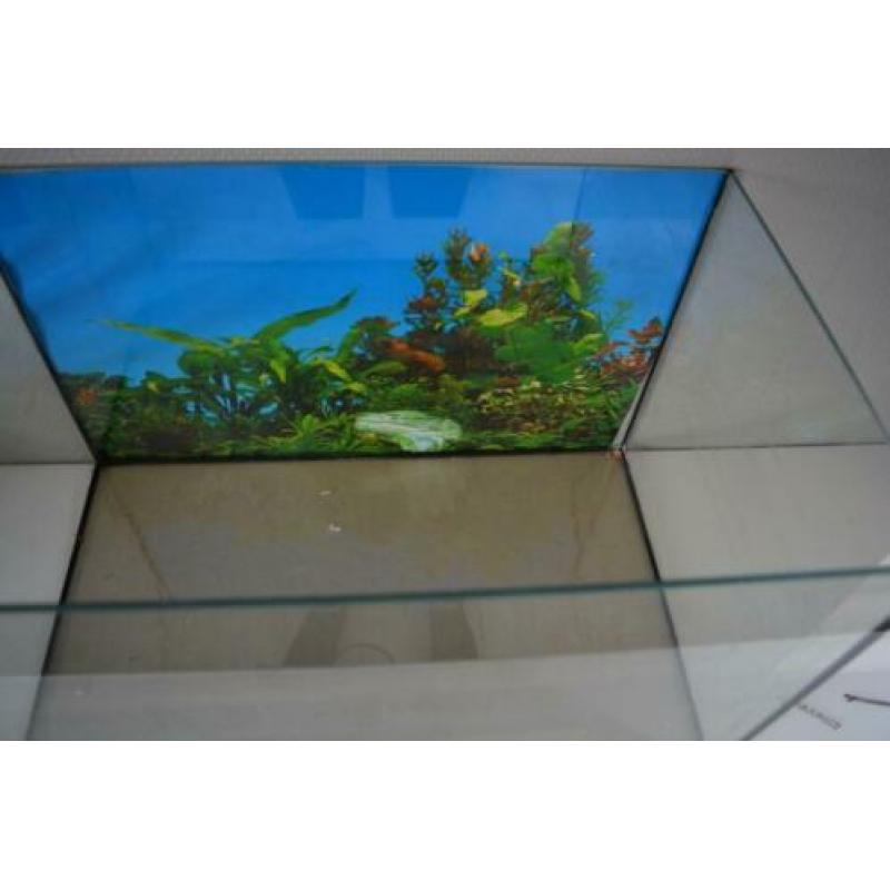 Leeg aquarium en toebehoren