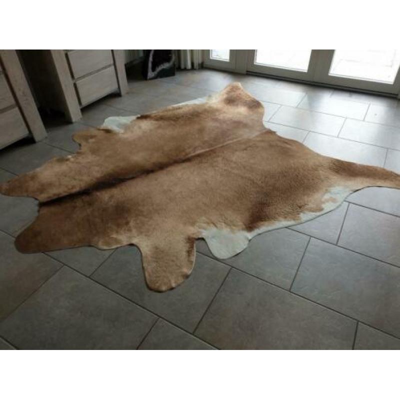 koeienhuid koeienkleed koeienvel koeienvacht