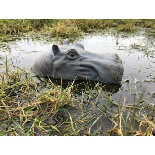 Prachtige polysteinen kop van een hippo-nijlpaard