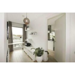 2 grote en 2 korte gordijnen/Curtain set, 2x long & 2 short