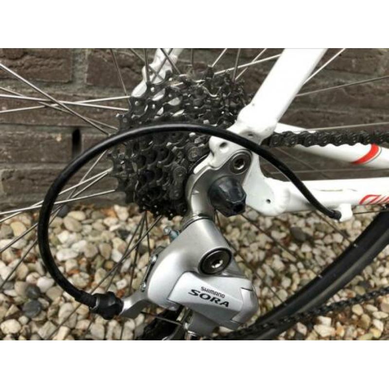 Wilier Montegrappa i.z.g.st.