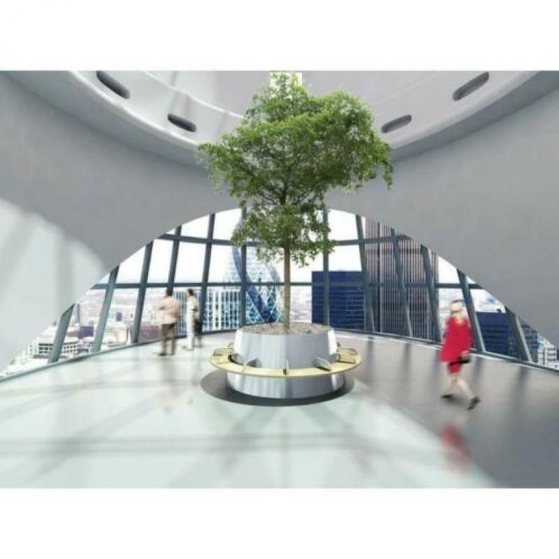 Kantoorbomen Bladhoudend 490-500cm art26584