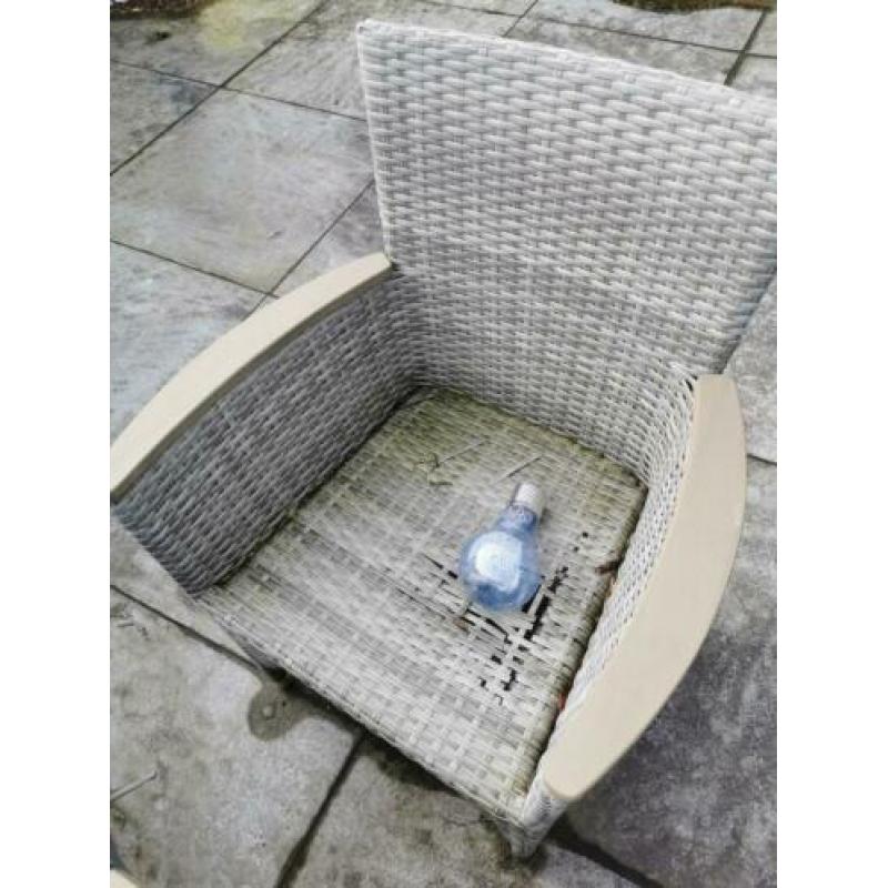 6 stoelen rotan inclusief kussens