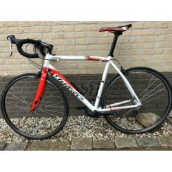Wilier Montegrappa i.z.g.st.
