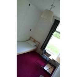 Kamer te huur vanaf 1 april in Groningen