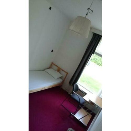 Kamer te huur vanaf 1 april in Groningen