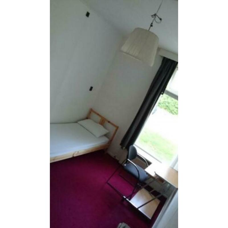 Kamer te huur vanaf 1 april in Groningen