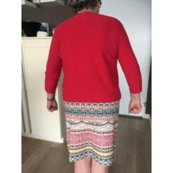 Rok (maat L) met vest (maat XL)