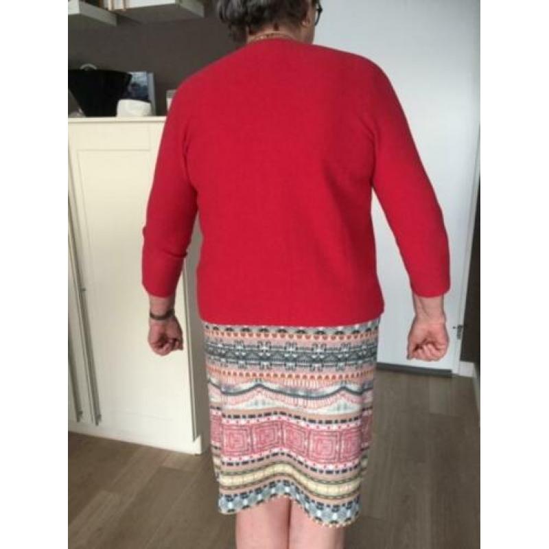 Rok (maat L) met vest (maat XL)